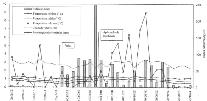 Figura 1 – Flutuação populacional de psilídeos em pomar de goiabeira e dados meteorológicos, em Jaboticabal-SP