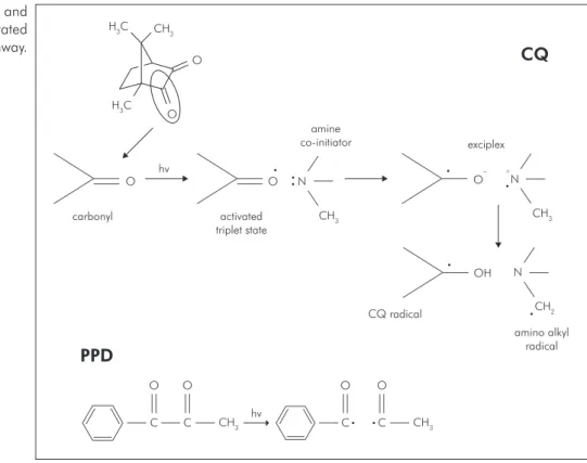 Figure 1 - Structure of CQ and  PPD and visible light-activated  free-radical generation pathway.