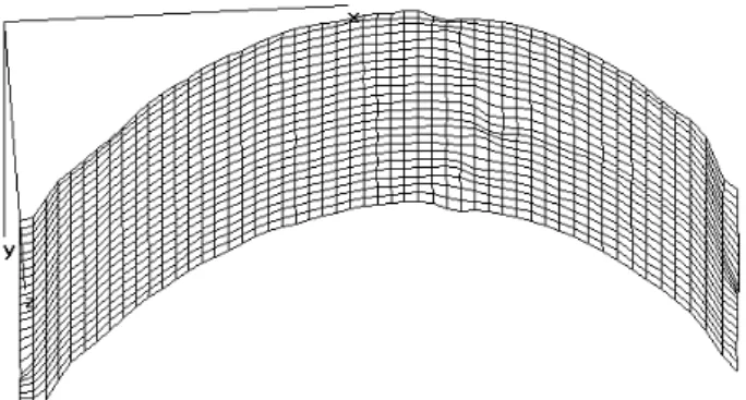 Figura 7 – Relevo do mouse produzido no Rising Sun Moiré (ZYWANG, 2001).
