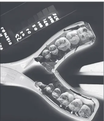 Figure 2 - Transformed to grayscale and inverted image of  silicon record used to establish silicon thickness.