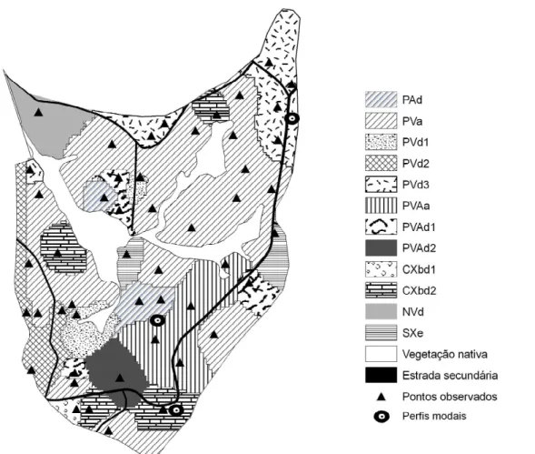 Figura 1 – Mapa detalhado de solos da microbacia do Horto Florestal Terra Dura (RS). Detalhes da legenda podem ser vistos na Tabela 1.