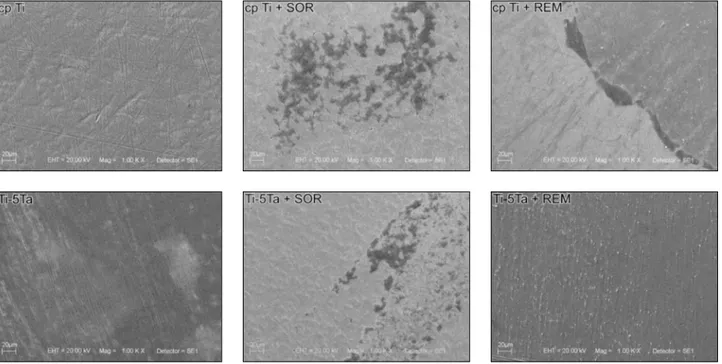 Figure 1 - Scanning electron micrographs of sample surface before toothbrushing:  cp Ti and  Ti-5Ta; after toothbrushing  with SOR: cp Ti + SOR and Ti-5Ta + SOR; and after toothbrushing with REM: cp Ti + REM and Ti-5Ta + REM (Original  magnification of 100
