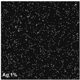Figure 1 - Image of the surface of composites containing 