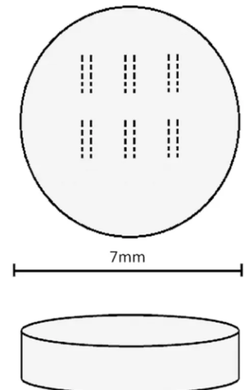 Figure 1 - Schema of the ablation tracks used for LA-ICP- LA-ICP-MS for each disk.