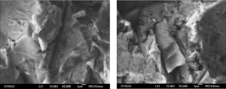 Figure 2 - SEM image at ×5000 magnification of the unpolished disk surface, control (left) and exposed (right)