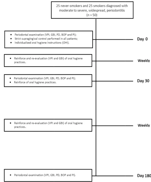 Figure 1 - Flowchart of  experimental procedures.