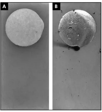Figure 3.  Images of the Fit-Cast V group (A) before and (B)  after immersion in a 0.05% sodium hypochlorite solution.
