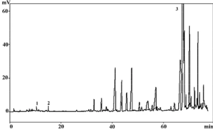 Figura 2 Perfil cromatográfico das substâncias voláteis dos óleos essenciais da cúrcuma obtidos por hidrodestilação em aparato de Clevenger.