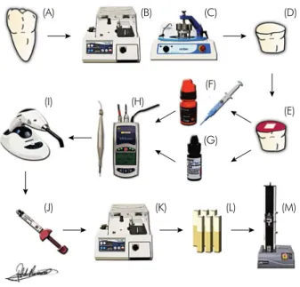 Table 2. Diode laser parameters used for irradiation of the  testing areas.