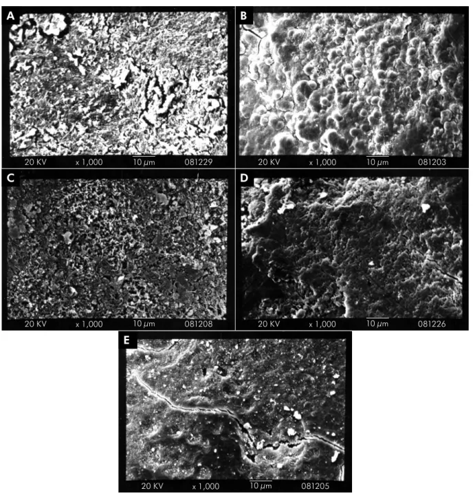 Figure 2. Representative scanning electron microscopy photomicrographs of the prevalent score for each experimental group