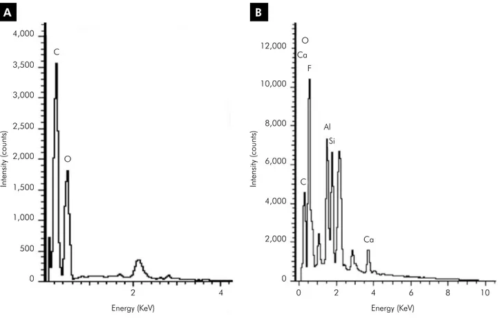 Figure 2. (A) EDS spectra of cellulose fibers ( × 2,500) and (B) fracture area of GICMF2 composite ( × 100); 10 and  15 kV; BioMat/UFVJM.