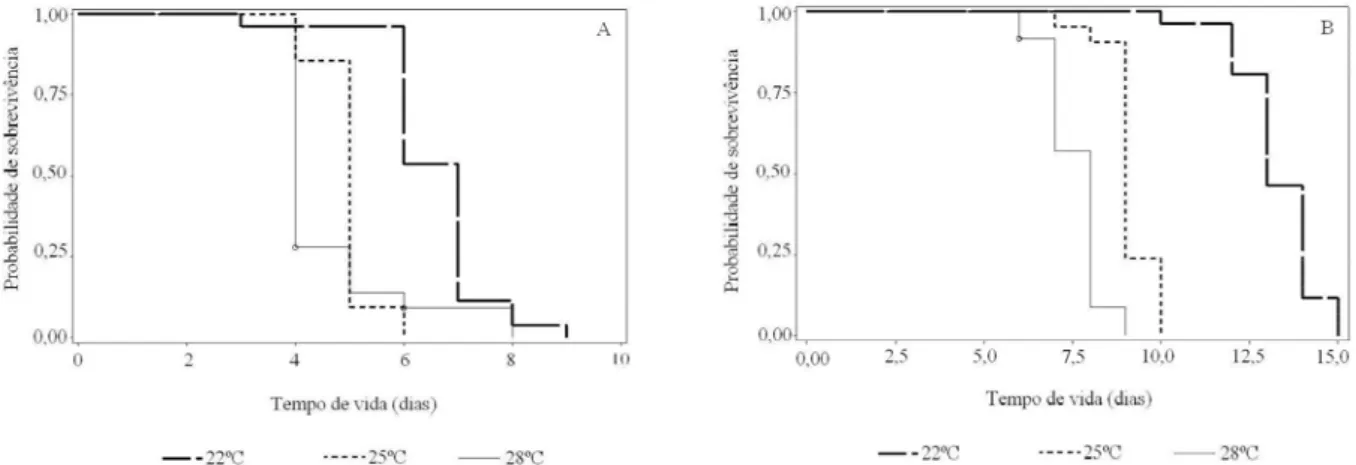 Figura 2 Curvas de sobrevivência para o tempo mediano de vida (em dias) das fases de pré-pupa (A) e de pupa (B) de