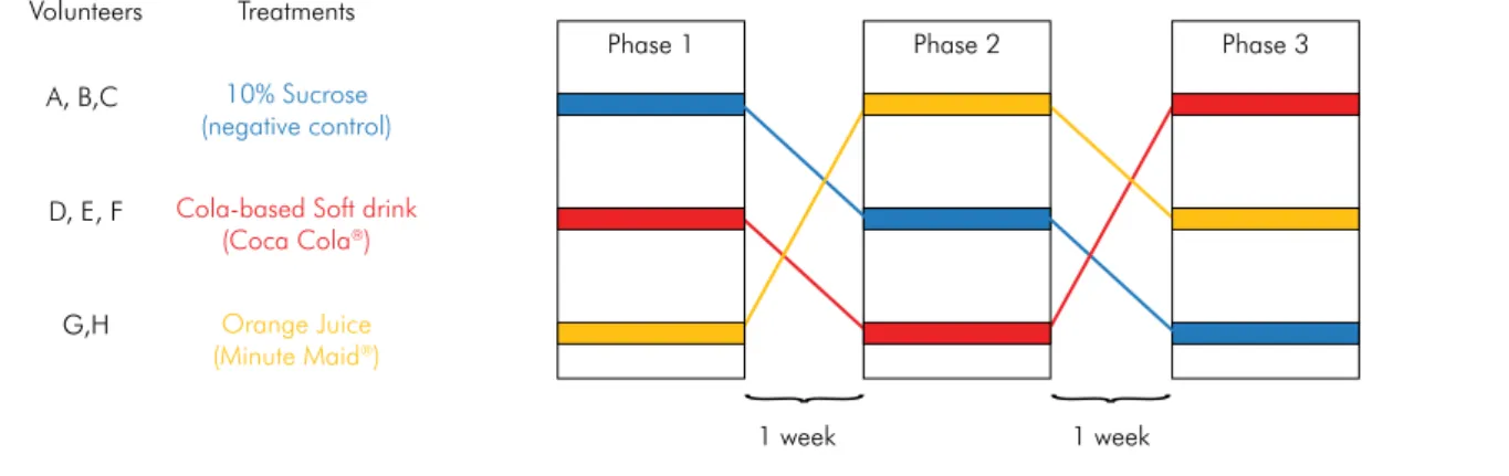 Figure 1. Schematic representation of the experimental design.