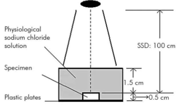 Figure 1. Radiation diagram. The black oval represents the  radiation source (source-surface-distance, SSD): 100 cm