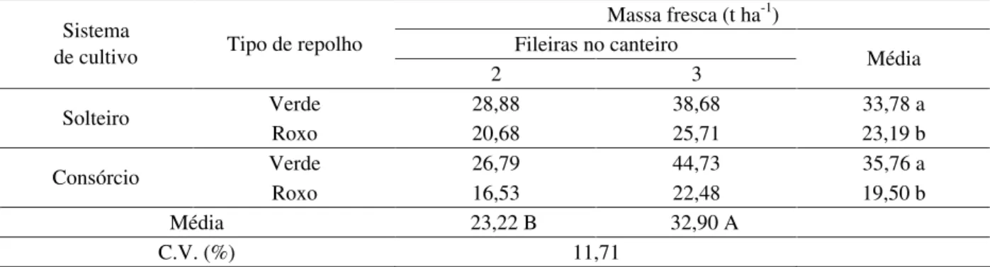 Tabela 2 Massas frescas das cabeças de dois tipos de repolho, em cultivo solteiro e em consórcio com a capuchinha Jewel , sob duas ou três fileiras no canteiro