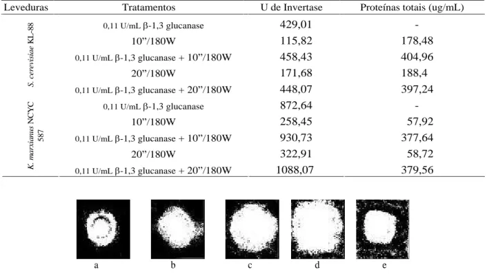 Tabela 3  Extração de invertase de S. cerevisiae KL-88 e K. marxianus NCYC 587, utilizando  -1,3 glucanase e ultrasonicador.