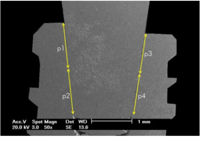 Figure 5. Scheme of the locations (positions) defined for the  measurements of the linear contact between abutment and implant.