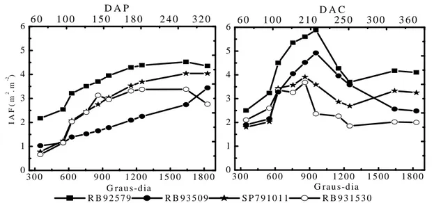 Figura 2   Evolução do índice de área foliar (IAF), nas variedades RB92579, RB93509, SP79-1011 e RB93509, nos cultivos de cana-planta e cana-soca, em função dos graus-dia dias, após plantio (DAP) e dias após o corte (DAC).