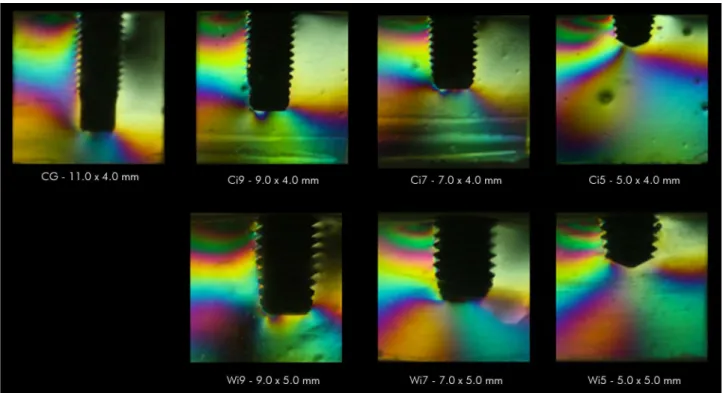 Figure 6. Illustration of the behaviour of fringes in the groups to implant B.