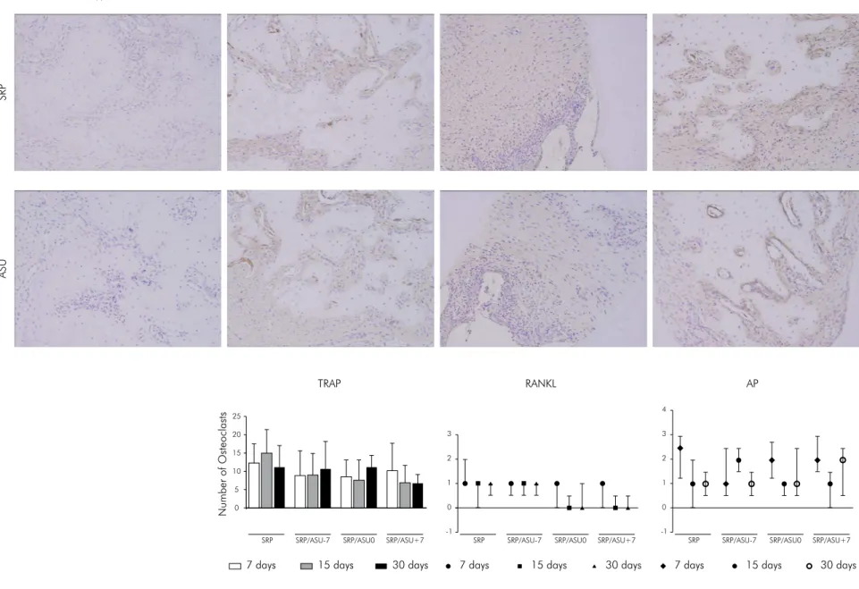 Figure 2. Representative images of the CTR and ASU groups of the immunohistochemical analysis of TRAP, RANKL and AP