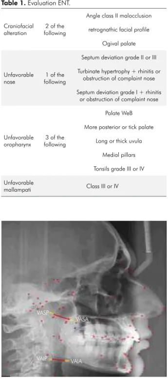 Figure 1.  Study protocol.