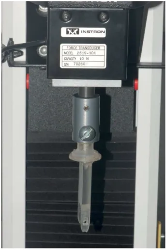 Figure 2. Tip of the Universal testing machine applying a  bucco-lingual pressure to the acrylic structure