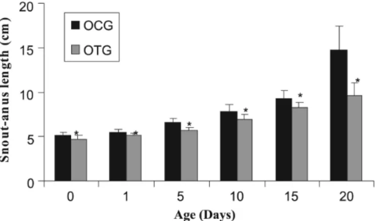 FIGURE 2  - Snout-anus length (centimeters) as a function of  age (days) of offspring of control rats (ocg) and of offspring of  treated rats (otg)