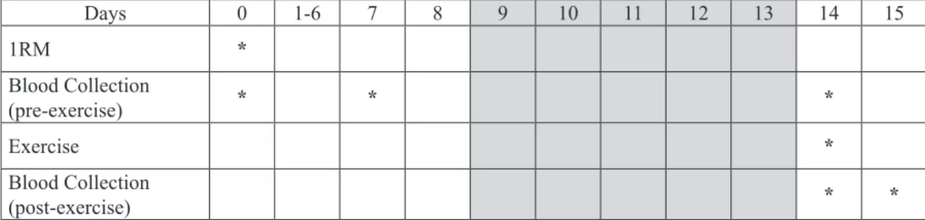 FIGURE 2  – Study timeline. The subjects were anthropometrically and biochemically evaluated, after which they were submitted  to a 1RM test (D 0 )