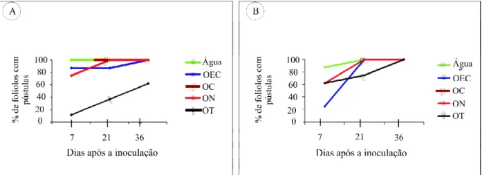 FIGURA 1   Incidência de pústulas em folíolos de soja dos cultivares MG/BR 46 (Conquista) (A) e Suprema (B) inoculados com  P