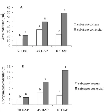 FIGURA 2  Médias da área radicular em centímetros quadrados  e  do  comprimento  radicular  em  metros,  das raízes de mandioquinha-salsa em dois tipos de substrato (substrato comum: 30% areia, 30% composto orgânico e 30% solo argiloso e substrato comercia