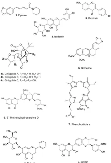 FIGURE 2  - Synergic mechanism of the psychoactive alkaloids  found in the drink Hoasca.