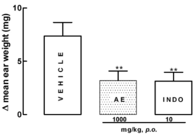 Figure 2 shows that the difference of the right and left ear  weight (Δ) obtained in the control group was 7.4 ± 1.2 mg,  and that AE (1 g/kg) or indomethacin oral pre-treatment  inhibited the edematogenic response after topical  appli-cation of croton oil