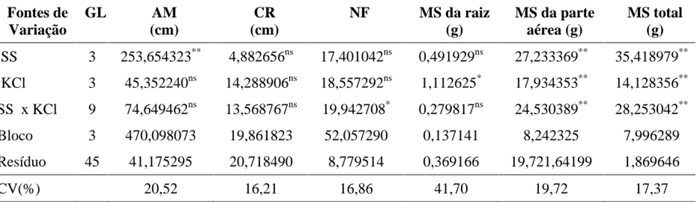 TABELA 1   Resumo da análise de variância da altura da muda (AM), comprimento da raiz (CR), número de folhas (NF), matéria seca (MS) da raiz, matéria seca da parte aérea e matéria seca total em função de doses de superfosfato simples (SS) e cloreto de potá