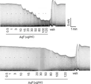 FIGURE 3 -  Representative recordings showing the AqF  negative inotropic effect obtained before (upper panel) and after  (lower panel) adding 20 mM of TEA to the organ bath (wsh: 
