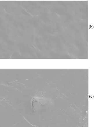 FIGURA 1   Fotomicrografias dos biofilmes de amido de milho nas concentrações de 1% (a), 2% (b) e 3% (c).