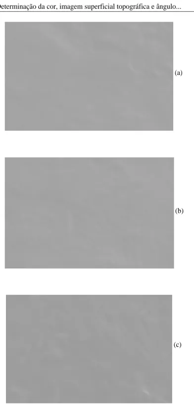 FIGURA 2   Fotomicrografias de biofilmes de fécula de batata (FFB) nas concentrações de 1% (a), 2% (b) e 3% (c).