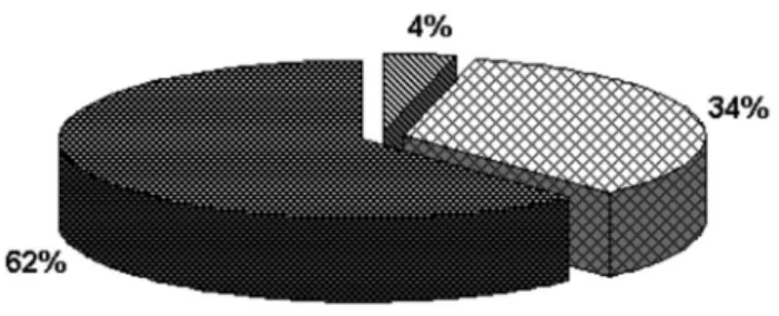 FIGURE 3 – Presence or absence of mandatory information in  commercial promotion.