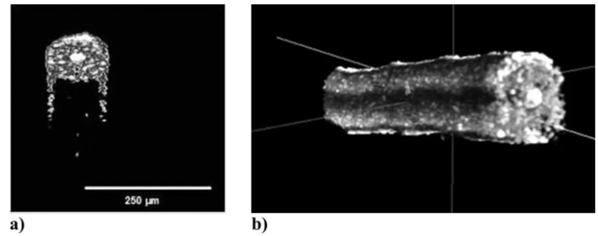 FIGURE 3  -  Signal OCT proile for Afro-ethnic hair, showing the main structures.