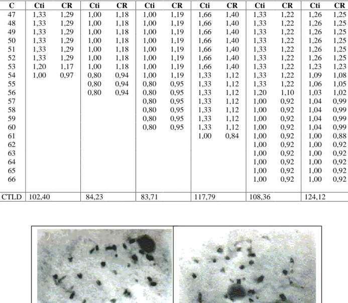 FIGURA 3 - BAG 55. Diacineses com 27 bivalentes. 