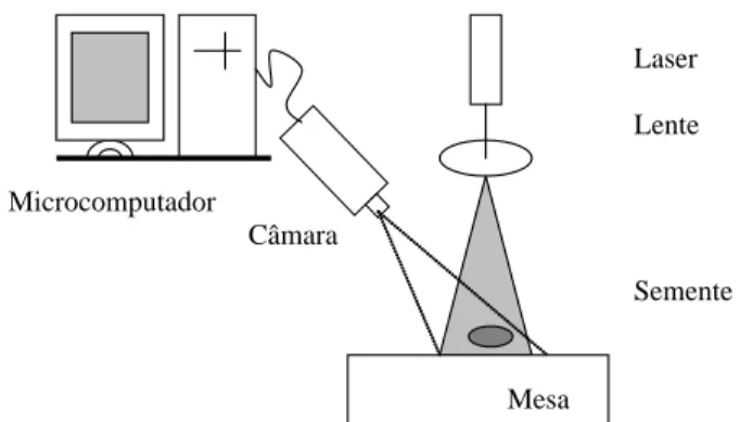 FIGURA 1 Diagrama esquemático dos sistemas de iluminação laser e aquisição de imagens.