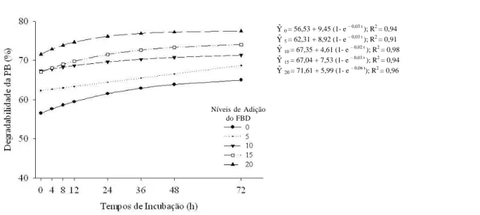 FIGURA 2   Efeito dos níveis de adição do FBD na degradabilidade da PB da silagem do capim-napier, nos diferentes