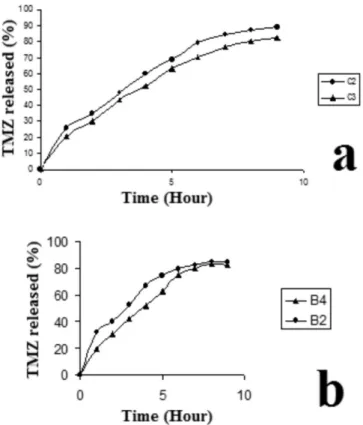 FIGURE 4  - Effect of sodium alginate concentration on TMZ  release from calcium alginate beads (a) Sequential method (b)  Simultaneous method