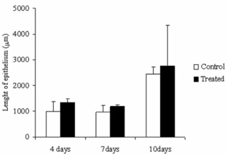 FIGURE 3 - Differences between the initial and final areas  (mm 2 ) of cutaneous wounds treated with ointment containing 1% 