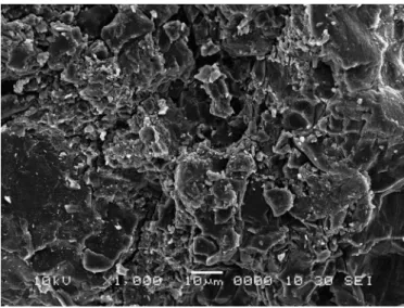 FIGURE 6  - Scanning electron microscopy of polymer coated  pellets of an optimized batch F6 (X80)