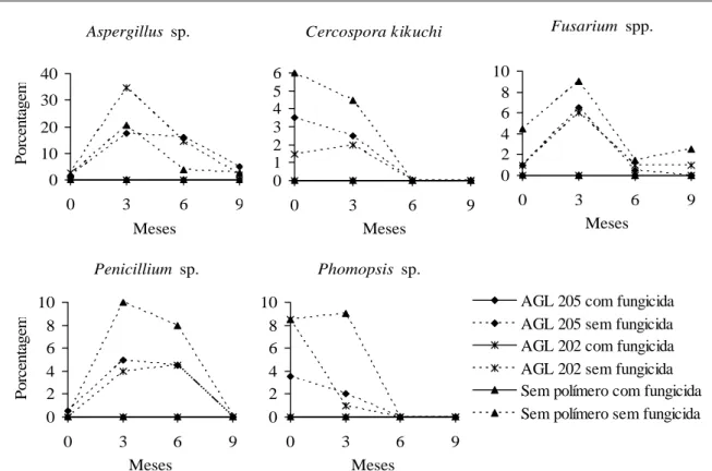 FIGURA 6 Porcentagem de contaminação/infecção por fungos em sementes de soja tratadas ou não com thiram+thiabendazole, associado ou não aos polímeros AGL 205 e AGL 202, durante nove meses de armazenamento