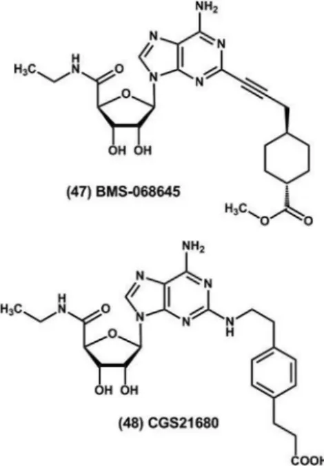 FIGURE 5  - Inhibitory activity of thalidomide (3) and analogues (49-52) in the TNF-α release in peripheral blood mononuclear  cells stimulated by LPS and in the enzymatic activity of PDE4 (Muller et al., 1998).