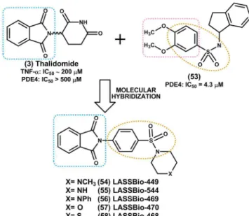 FIGURE 6  - Structural design of the N-phenyl sulfonamide  phthalimidic derivatives, idealized as dual inhibitors of TNF-α  and PDE4 (Lima et al., 2002).