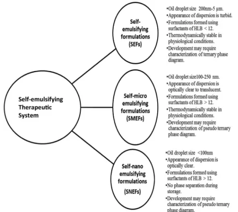 FIGURE 1.  Features of different self-emulsifying formulations.