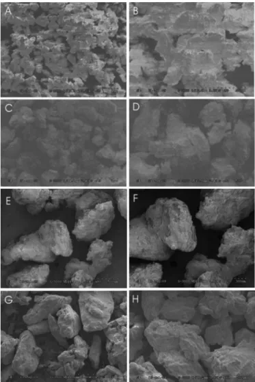 TABLE II  - Content of DHA granules as a function of particle size Size of Particles (µm) Theoretical amount of DHA 