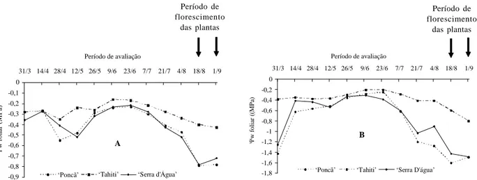 FIGURA 2   Potencial hídrico foliar ( w) avaliado pela manhã (A) e a tarde (B) nas folhas de tangerineira  Poncã,